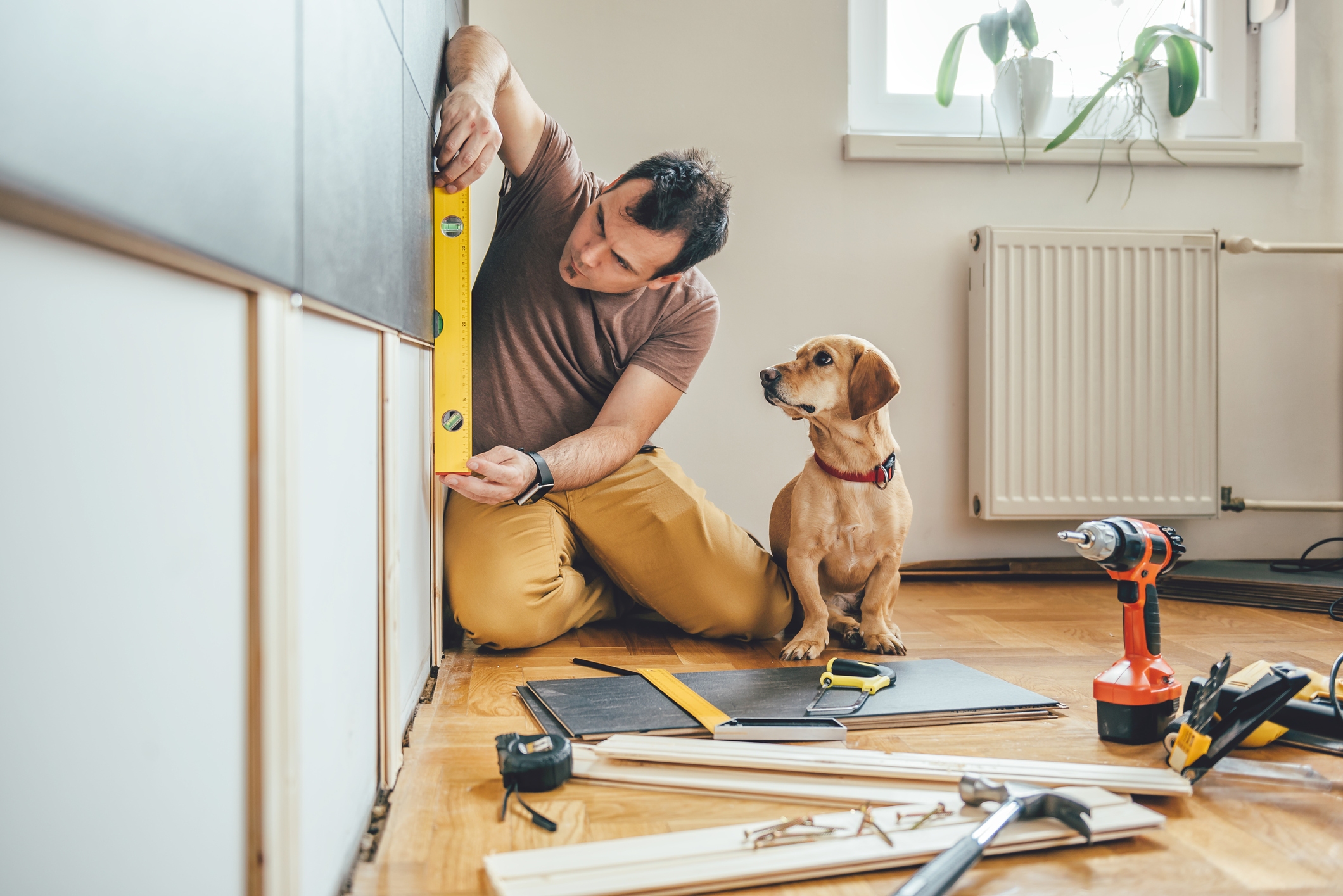 Man Using Spirit Level on Wall with Dog