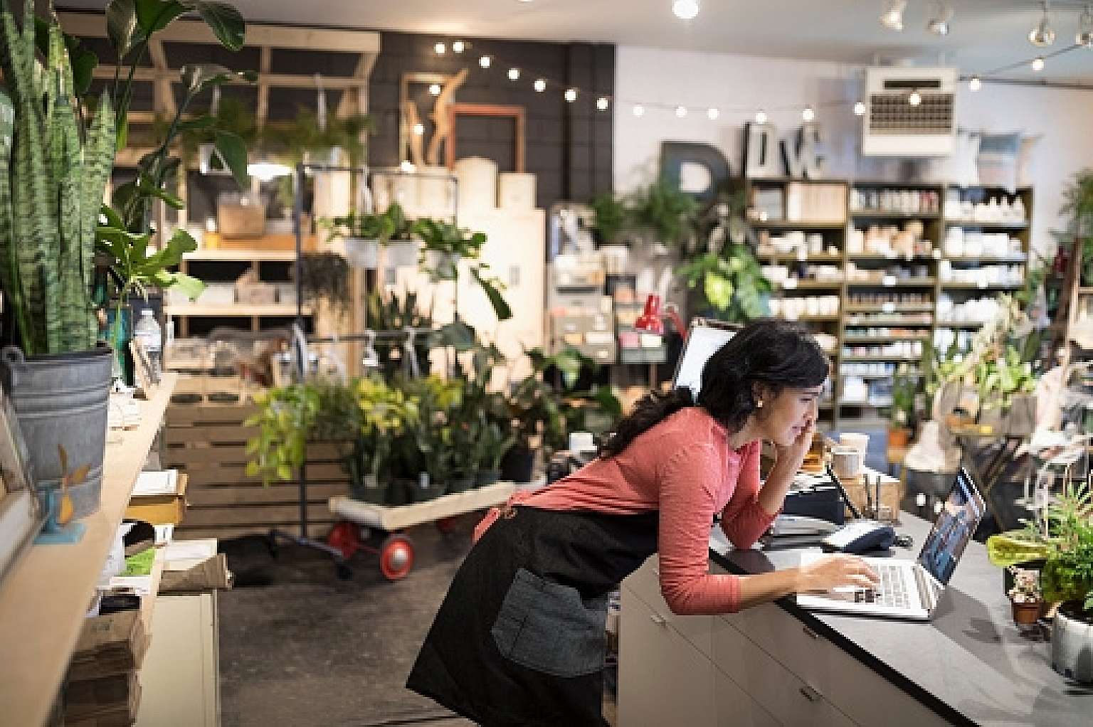 Woman on Computer in Plant Shop